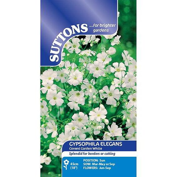 Gypsophila 'Covent Garden White' - Seeds