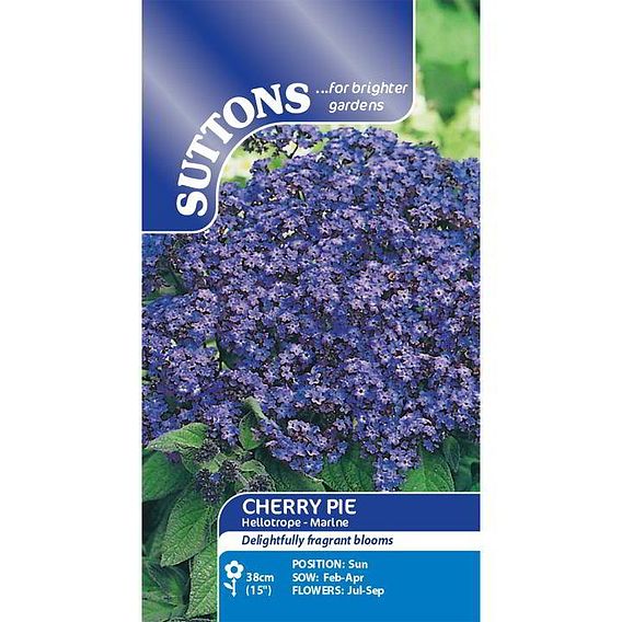 Heliotrope 'Marine' - Seeds