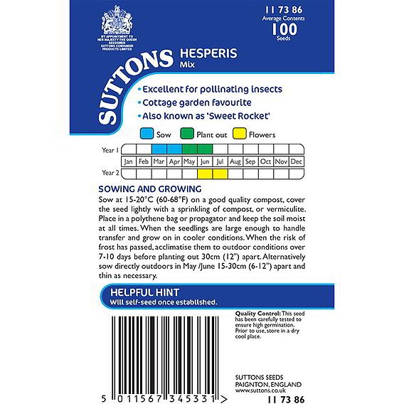 Hesperis 'Mix' - Seeds