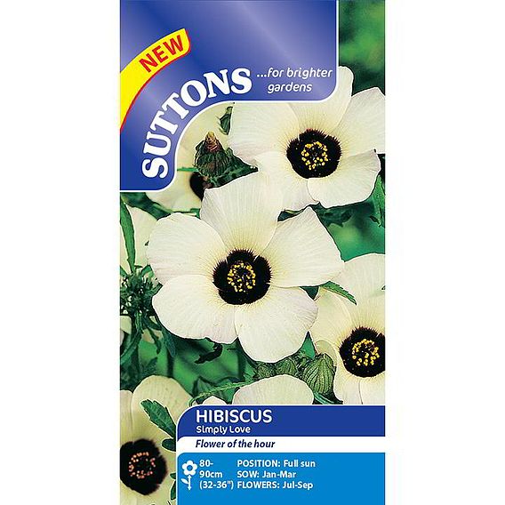 Hibiscus 'Simply Love' - Seeds