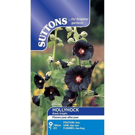 Hollyhock Seeds - Black Knight