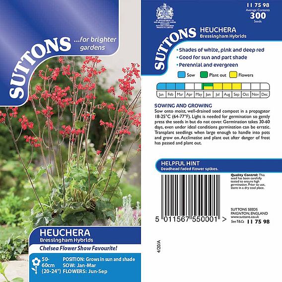 Heuchera Seeds - Bressingham Hybrids