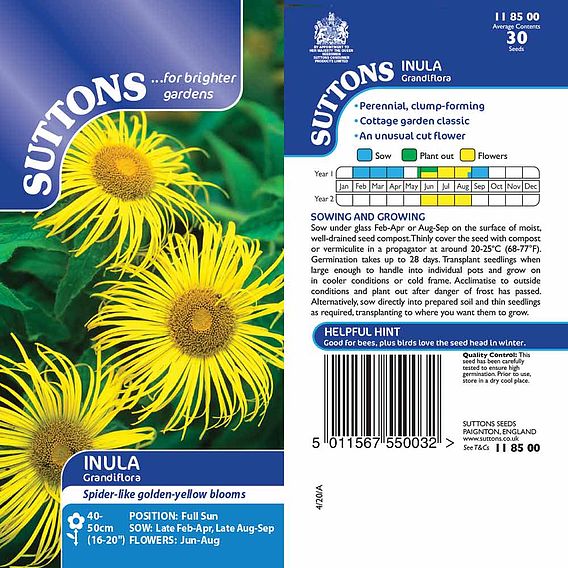 Inula 'Grandiflora' - Seeds