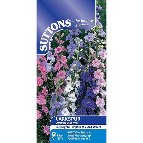 Delphinium 'Little Rocket Mix' - Seeds