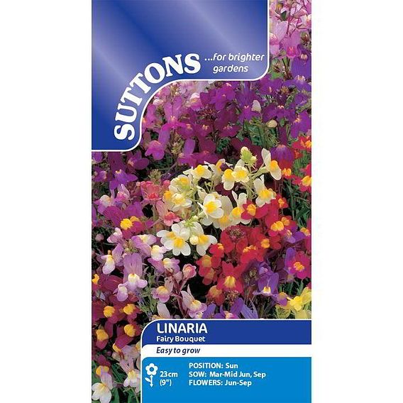 Linaria 'Fairy Bouquet' - Seeds