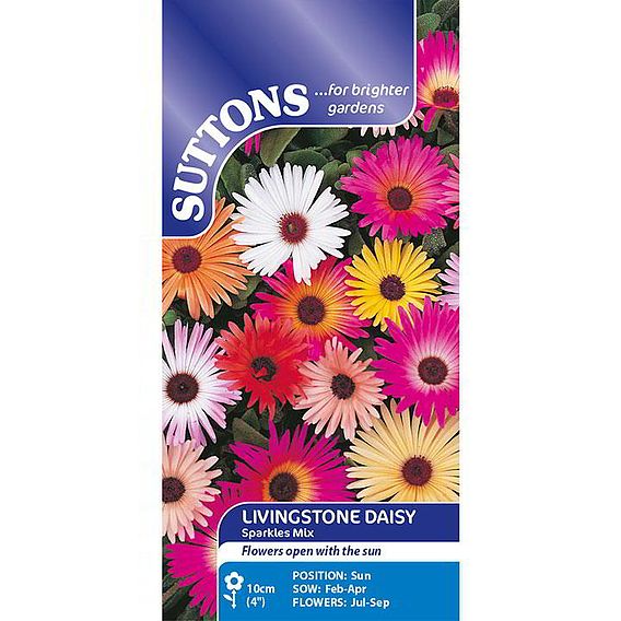 Livingstone Daisy Seeds - Sparkles Mix