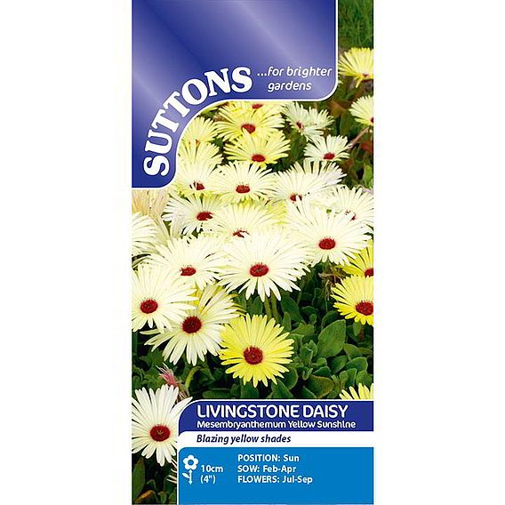 Livingstone Daisy Seeds - Yellow Sunshine