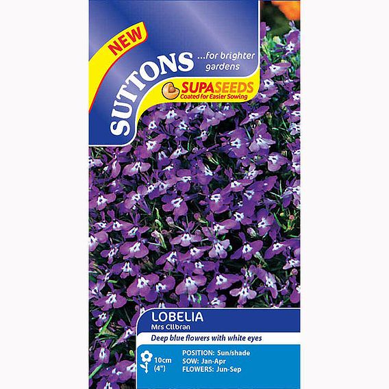 Lobelia 'Mrs Clibran (Bush Variety)' - Seeds