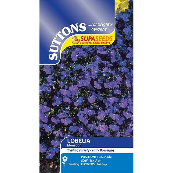 Lobelia 'Monsoon' - Seeds