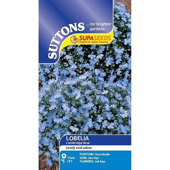 Lobelia Seeds - Cambridge Blue