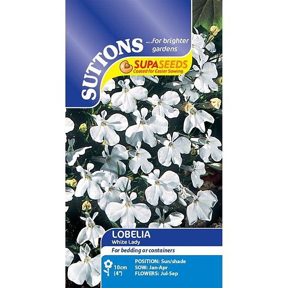 Lobelia 'White Lady' - Seeds