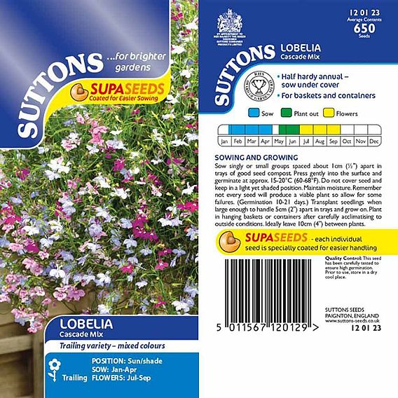 Lobelia Seeds - Cascade Mix