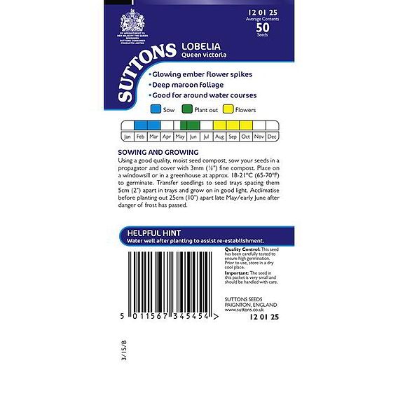 Lobelia 'Queen Victoria' - Seeds