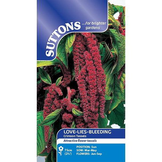 Love-Lies-Bleeding Seeds - Crimson Tassels