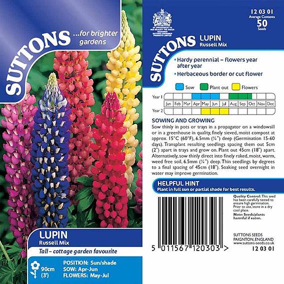Lupin 'Russell Mix' - Seeds
