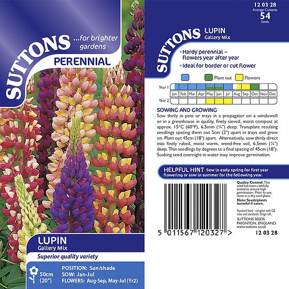 Lupin 'Gallery Mix' - Seeds