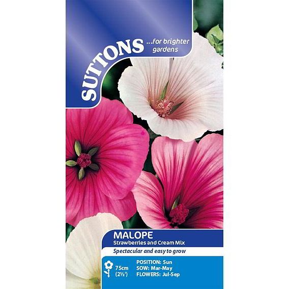 Malope 'Strawberries & Cream Mix' - Seeds