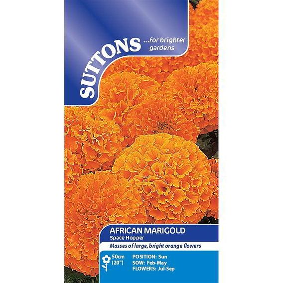 Marigold African Seeds - Space Hopper