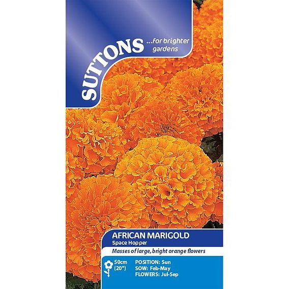 Marigold African 'Space Hopper' - Seeds