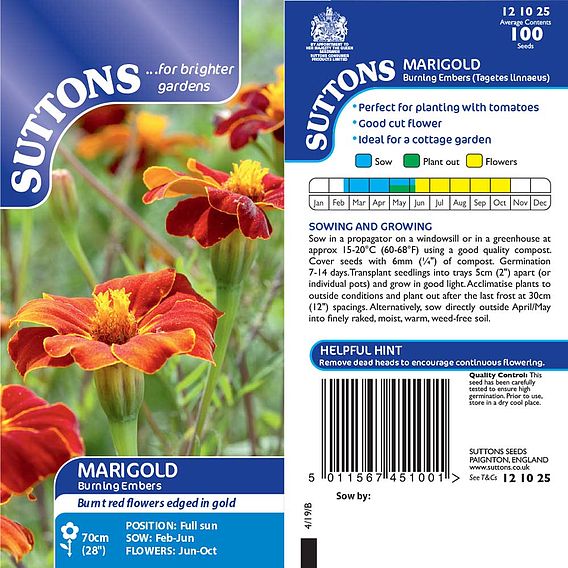 Marigold 'Burning Embers' - Seeds