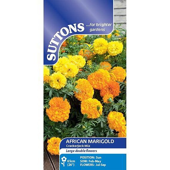 Marigold African Seeds - Crackerjack Mix