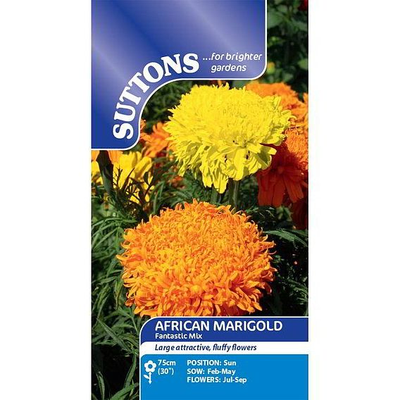 Marigold African Seeds - Fantastic Mix
