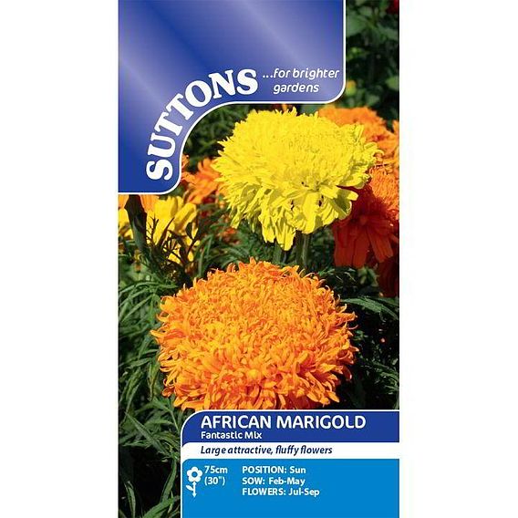 Marigold African 'Fantastic Mix' - Seeds