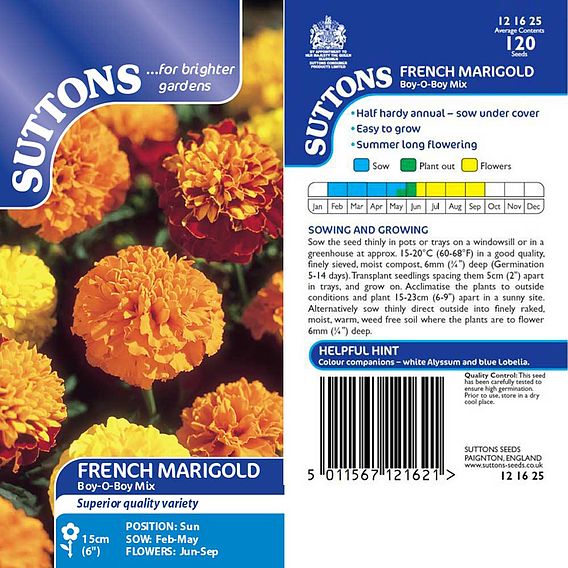 Marigold French 'Boy-O-Boy Mix' - Seeds