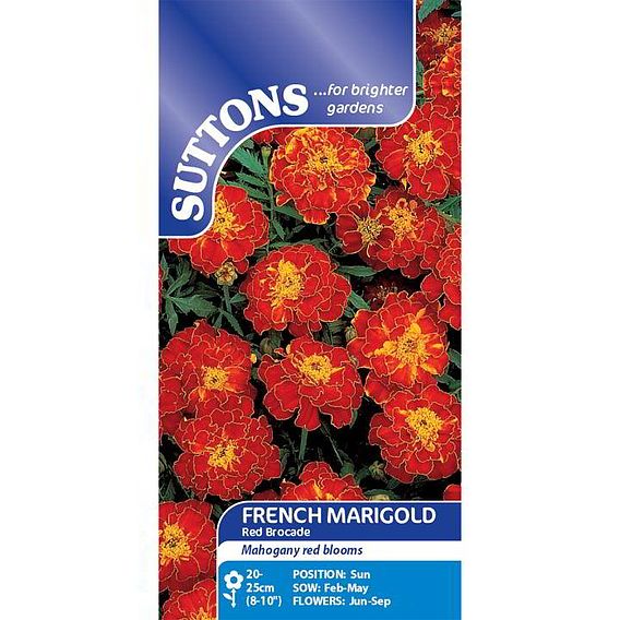 Marigold French Seeds - Red Brocade