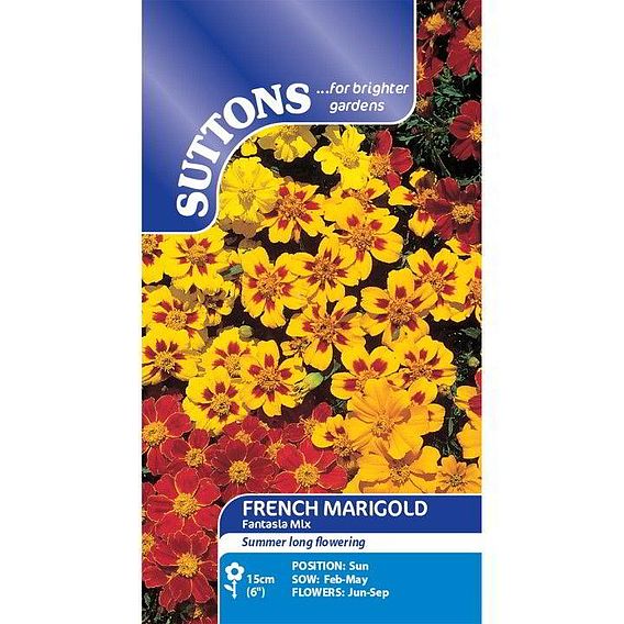 Marigold French Seeds - Fantasia Mix