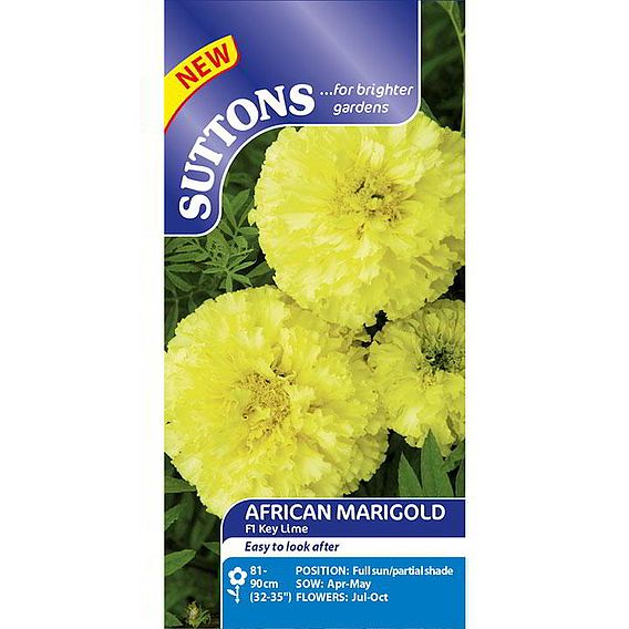 Marigold African Seeds - F1 Key Lime