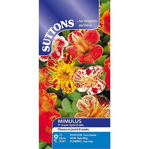 Mimulus 'F2 Super Hybrid Mix' - Seeds