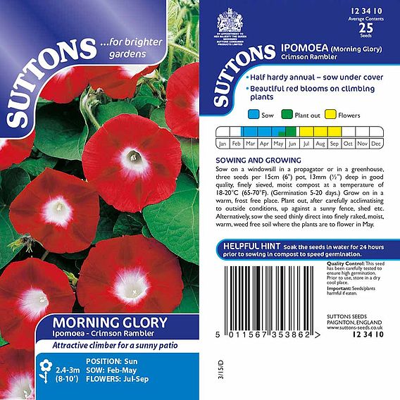 Morning Glory Seeds - Crimson Rambler