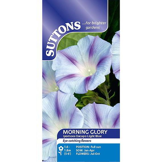 Morning Glory Seeds - Dacapo Light Blue