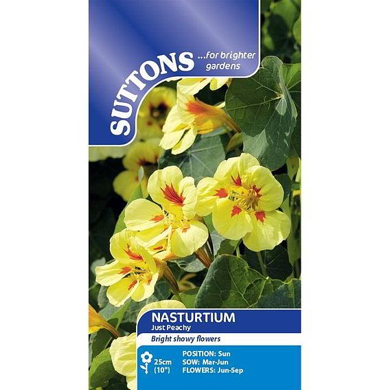 Nasturtium 'Peach Melba' - Seeds