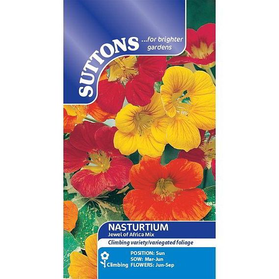 Nasturtium 'Jewel of Africa Mix' - Seeds