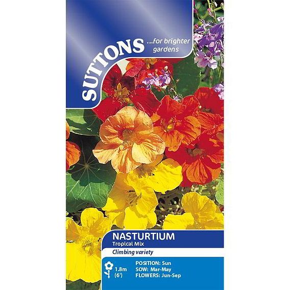 Nasturtium 'Tropical Mix' - Seeds