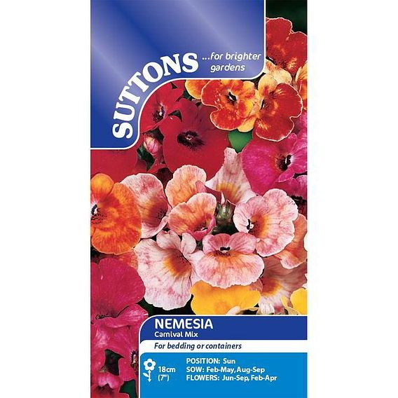 Nemesia Seeds - Carnival Mix