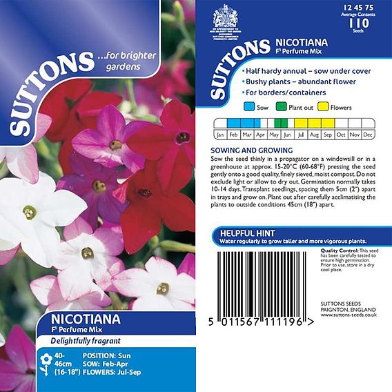 Nicotiana F1 'Perfume Mix' - Seeds