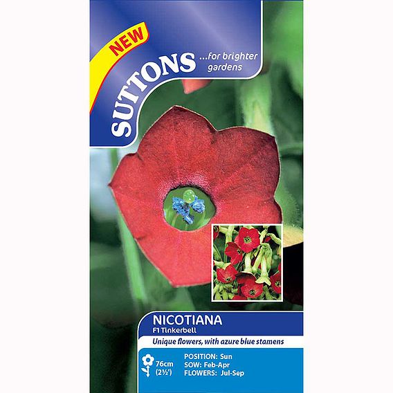 Nicotiana F1 'Tinkerbell' - Seeds