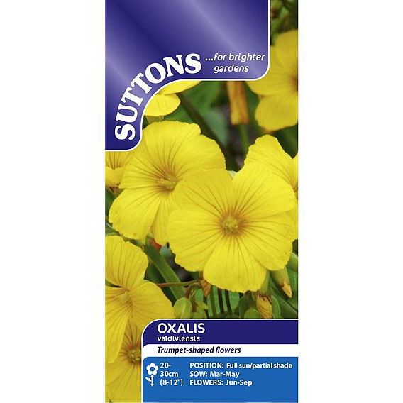 Oxalis 'Valdivensis' - Seeds