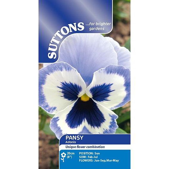 Pansy 'Adonis' - Seeds