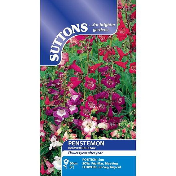 Penstemon 'Beloved Bells Mix' - Seeds
