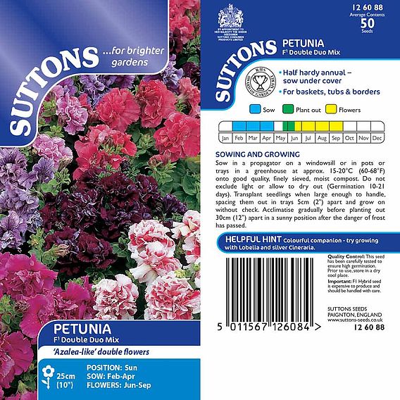 Petunia F1 'Duo Double Mix' - Seeds