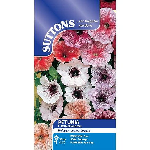 Petunia Seeds - F1 Reflections Mix
