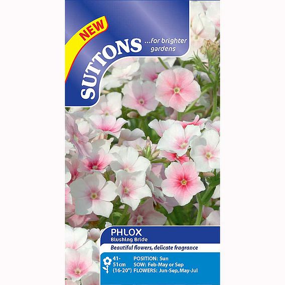 Phlox drummondii Seeds - Blushing Bride