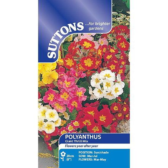 Polyanthus 'Giant Thrill Mix' - Seeds