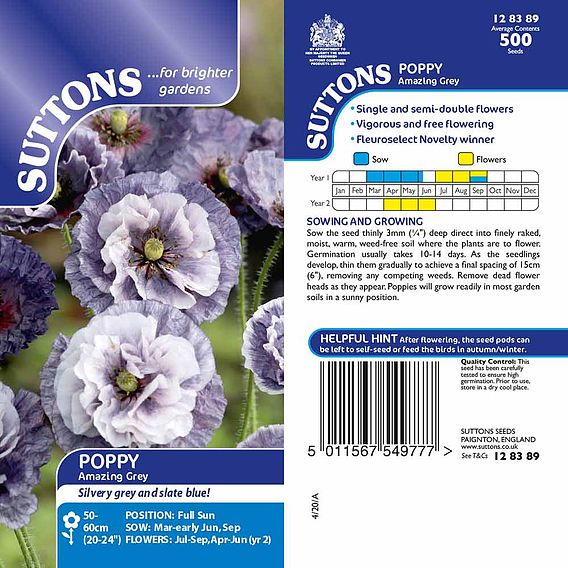 Poppy 'Amazing Grey' - Seeds