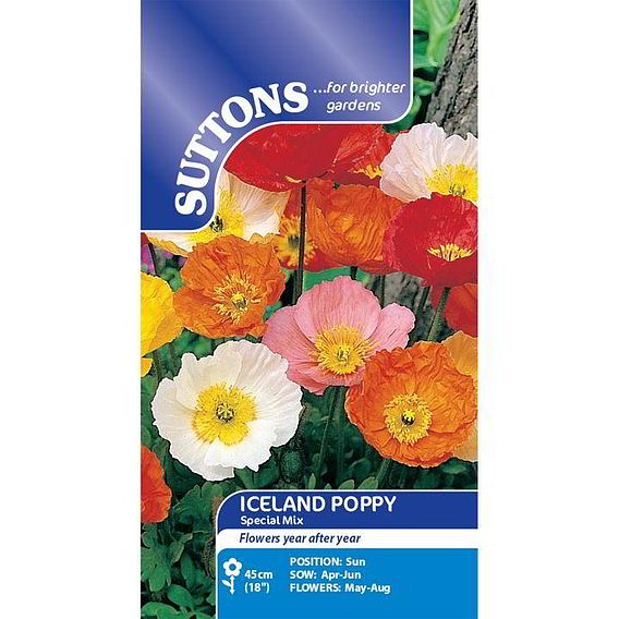 Poppy 'Iceland Poppy' - Seeds