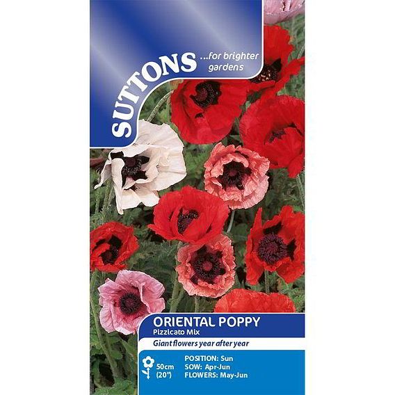 Poppy 'Pizzicato Mix' - Seeds